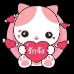 เรื่องที่เจ็บ......