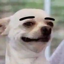 gZCyUF