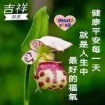 清晨美好，早安您好！