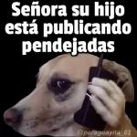 publicar pendejadas