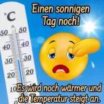 Manchmal wurde Tom den
Verdacht nicht los, seine Eltern
würden ihm etwas
verschweigen.