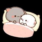 zZz