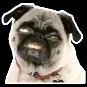 ZuDdFD