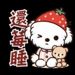 瑪爾濟斯小狗托比的美好生活，日常用語篇