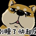 你的頭是不是被門夾到？！