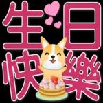 可愛柯基 大字超實用日常生活用語