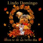 HOLA!!.
Detalles de
Feliz Viernes!!