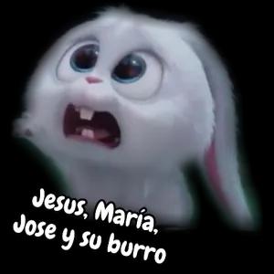 Jesus, Maria, dose y su borro  - getsticker.com