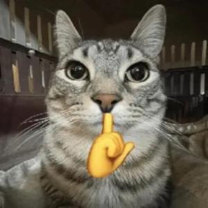 3AJnkT