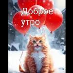 Доброе утро