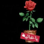 من الذي فاتك؟