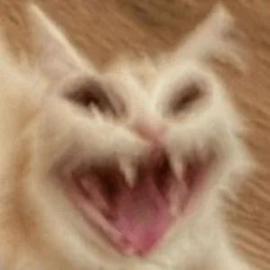 ExCJM4