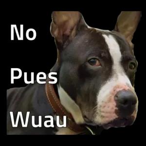 No Pues Wuau - getsticker.com