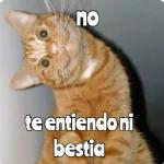 no te entiendo ni bestia