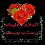 نسانهاییصباح الخ
