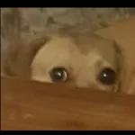 Se que mientes pero continúa