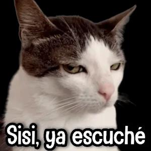 S3naes