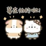 Hello Kitty 50週年 x 天竺鼠布丁 溫暖日常