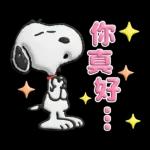 【中文】Snoopy♡立體貼圖