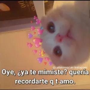 4uuShh