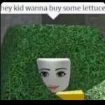roblox memes