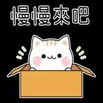 善解人意的小貓貓