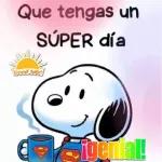 Buenas Noches