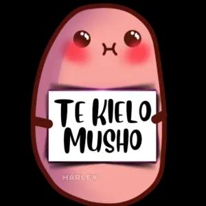 LO0Zkp