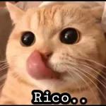 Ricooo
