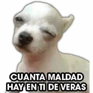 CUANTA MALDAD HAY EN TI DE VERAS - getsticker.com