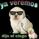 MI PAQUETE 50