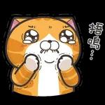 白爛貓11☆超級萌☆