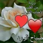 G
مساؤكم سعادة
ه
ه