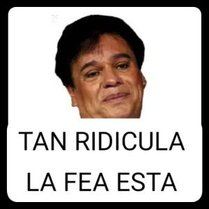 TAN RIDICULA LA FEA ESTA - getsticker.com