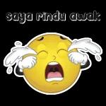 adik nur
