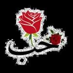 كل سنة وانتم طيبين عيد أضحى لا مبارك 