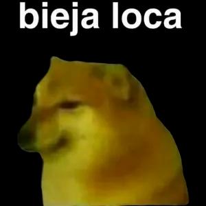 bieja loca - getsticker.com
