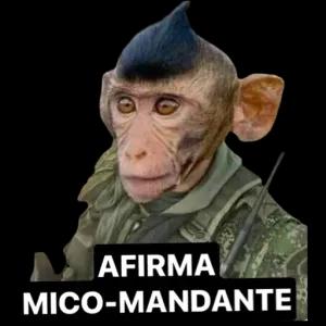 fvuj4o8