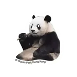 香港海洋公園 - 《大熊貓安安可可日常篇》
