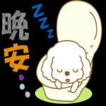 白貴賓犬表情包