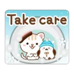 Natural cat, moving winter&Xmas