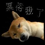 怎麼可能，你不懂！！