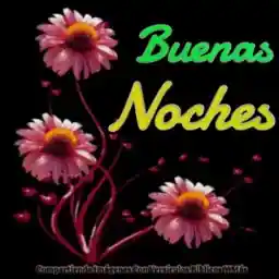 movimiento