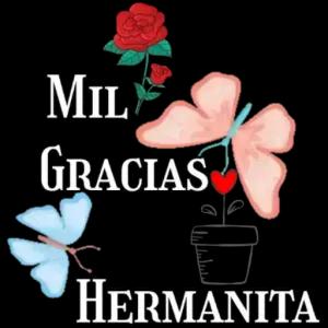 MOL GRACIAS HERMANITA  - getsticker.com