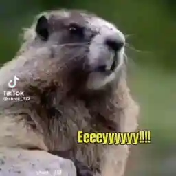 oIUQy1
