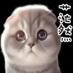 折耳貓貓 ❤ 給你一個讚 ❤