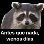 Baia Baia.