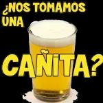 beber cerveja