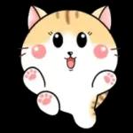 Cats! For reply