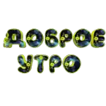цветы